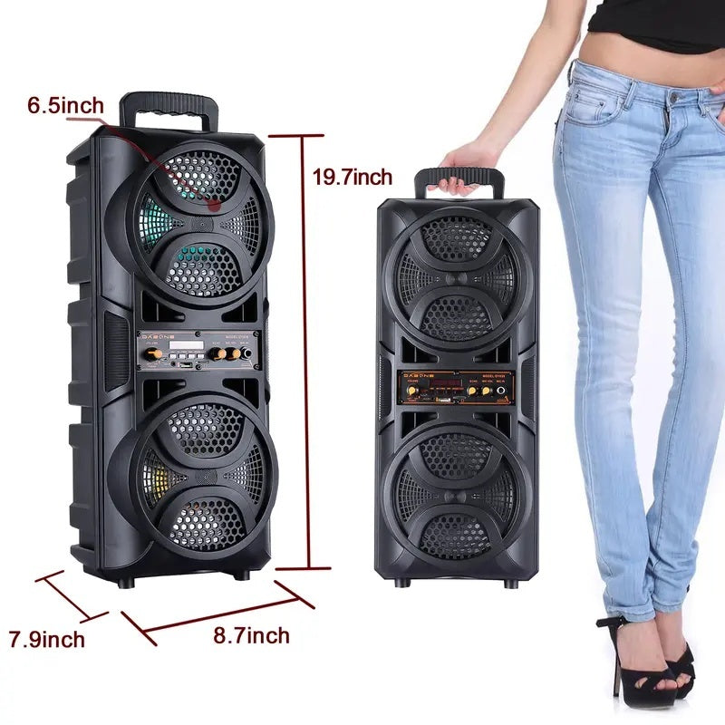 Haut-parleur Bluetooth portable sans fil Karaoke System allume TWS