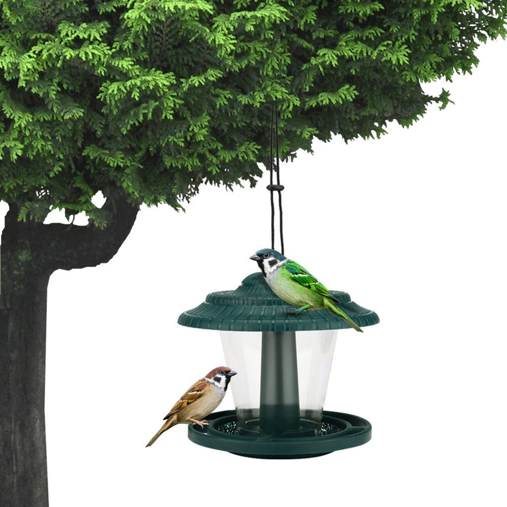 Alimentateur d'oiseaux transparent en plastique