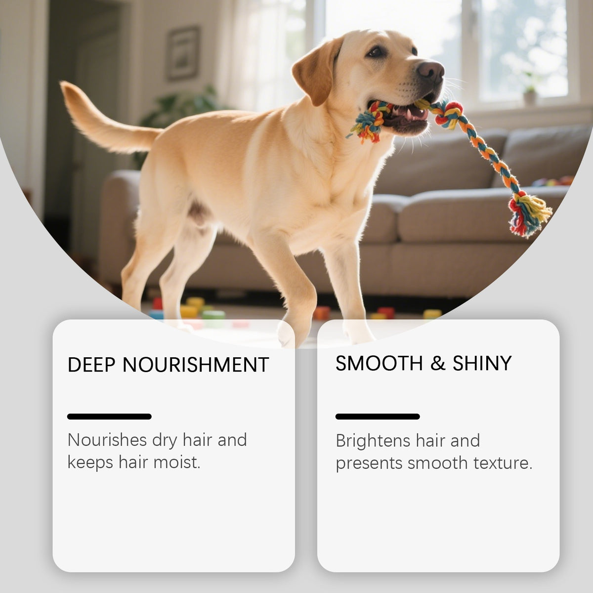 Aeljoy conditionneur animal avec des ingrédients doux pour nettoyer et enlever les odeurs