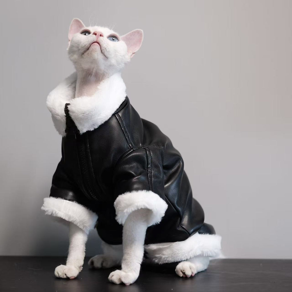 Manteau épais Sans fourrure Vêtements de chat Sphynx Cat Outfit Automnehiver Style