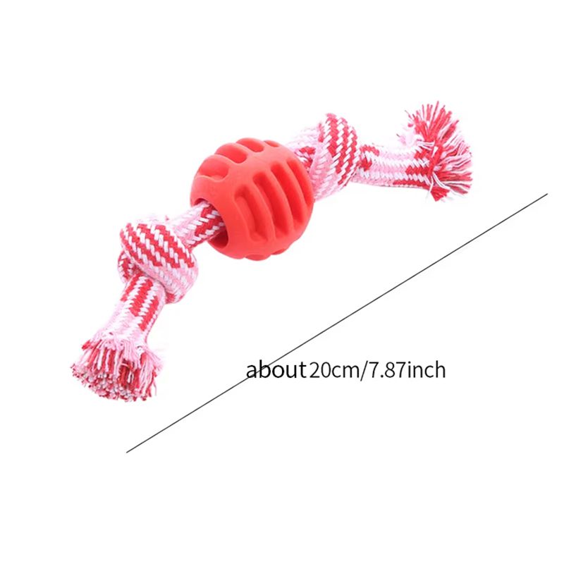 Jouet de chien de chien Corde de coton Double noeud boule résistant à la morsure de dents Toy de nettoyage de balle Pet Suppli