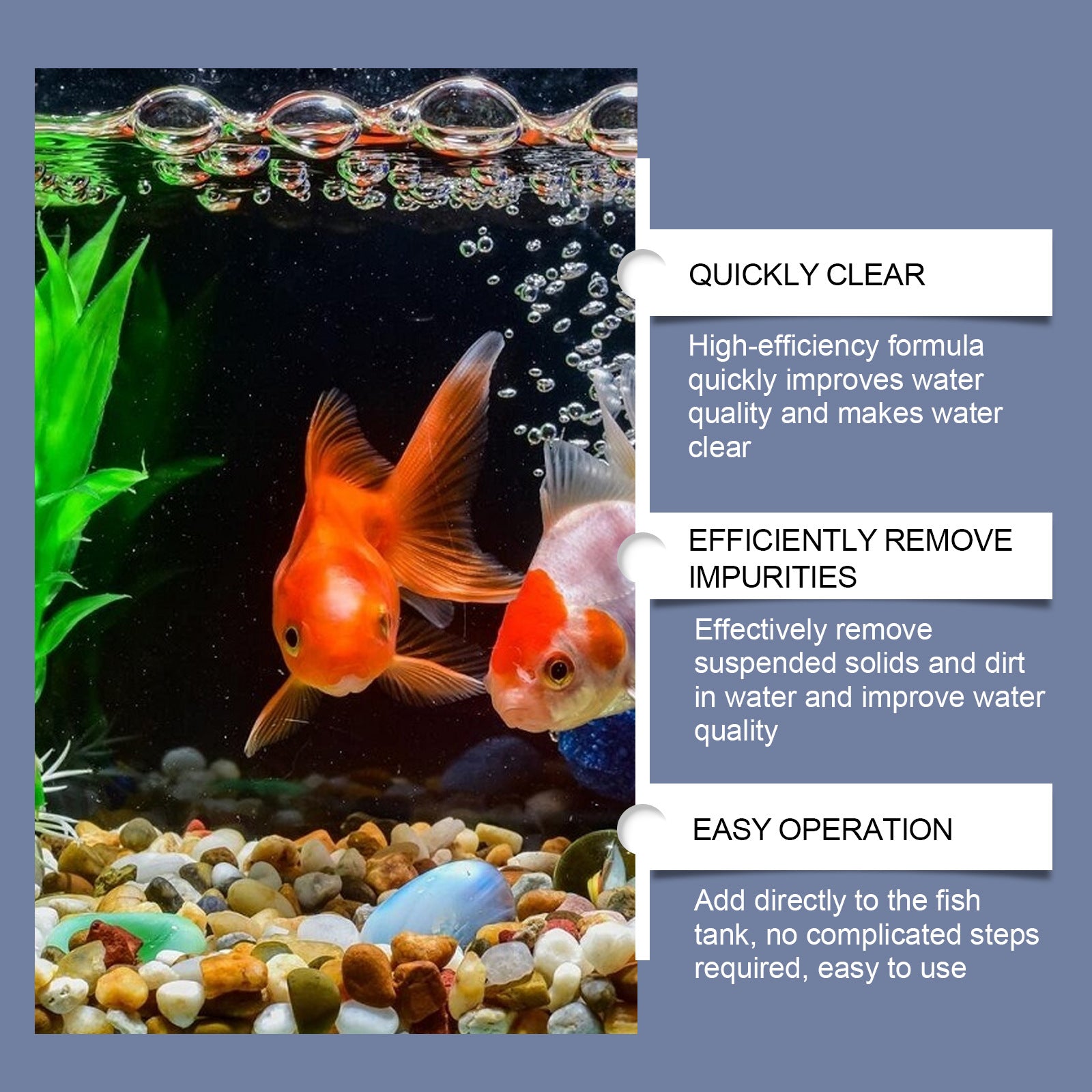 Dépollution de la qualité de l'eau du réservoir de poisson