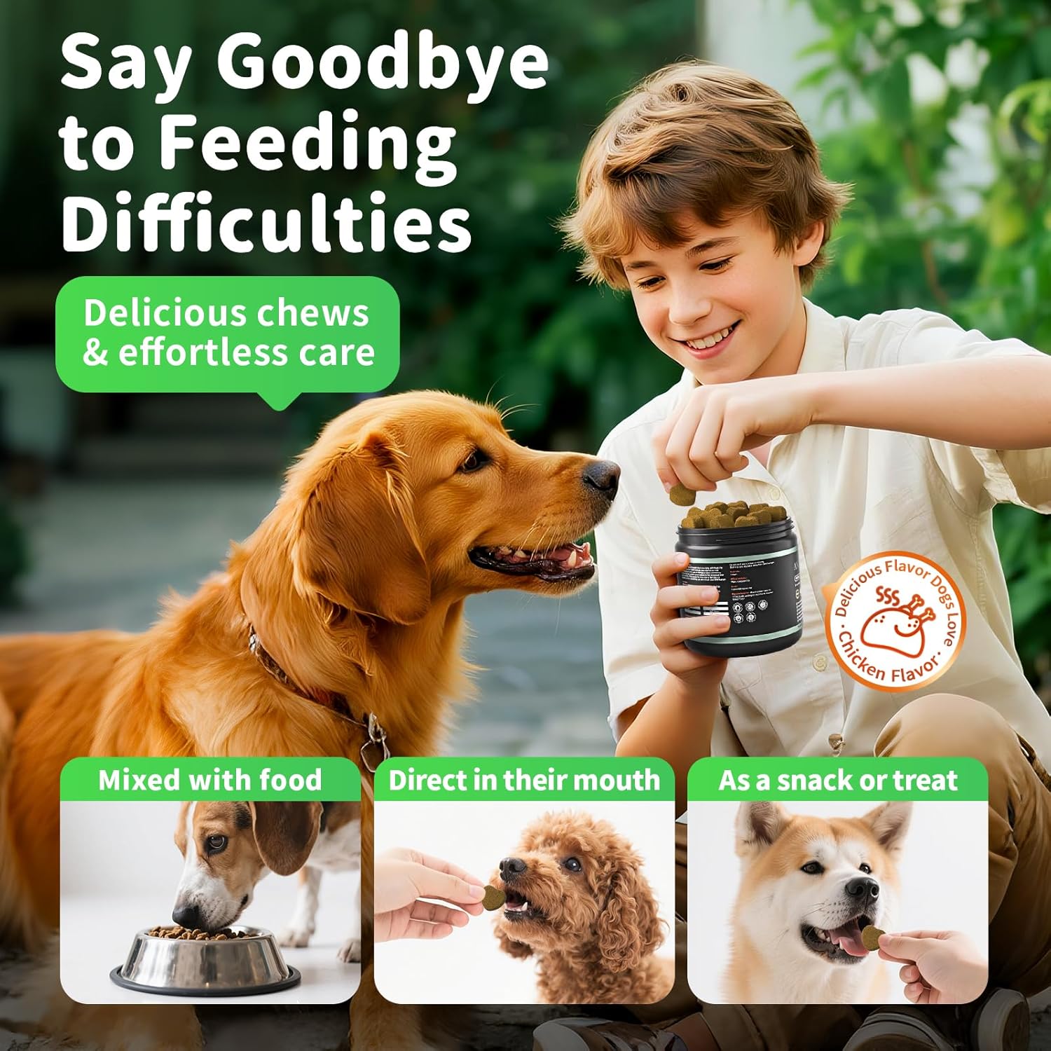 Probiotiques pour chiens Enzymes digestifs