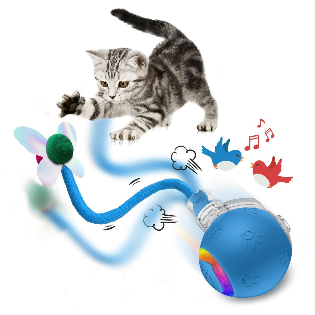 Balle de jouets pour animaux intelligents avec une corde pour chats