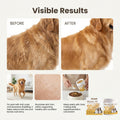 Kriath Pet Peau et soins capillaires Poudre nutritionnelle Poudre quotidienne de soins pour animal doux et brillant
