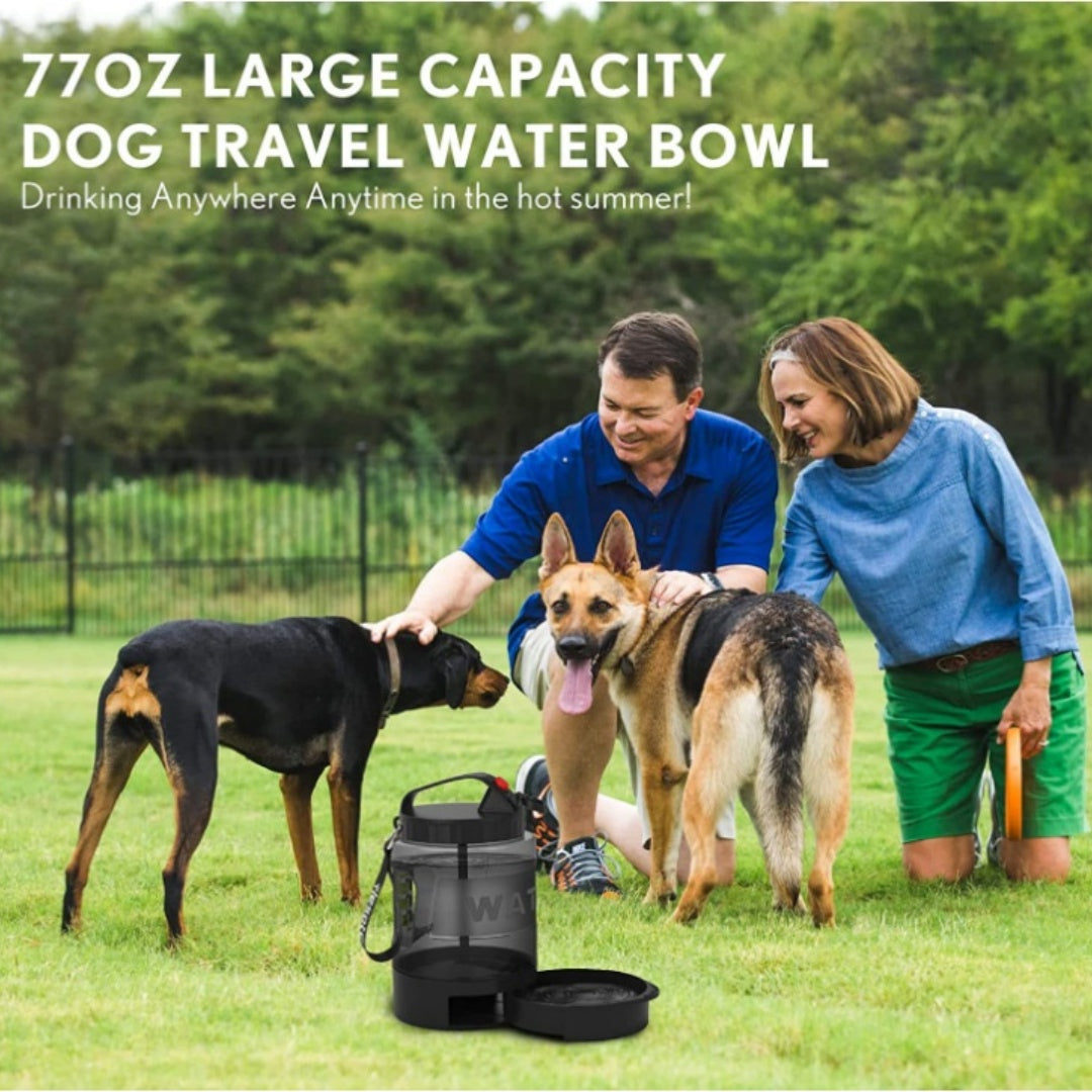 Chiens et chats Bouteille d'eau potable de grande capacité
