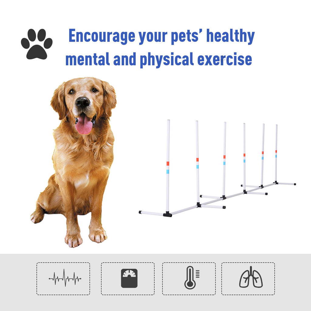 Pôles de chien robustes Équipement de vitesse et d'agilité des animaux Chiens Obstacle Extérieur avec stockage B