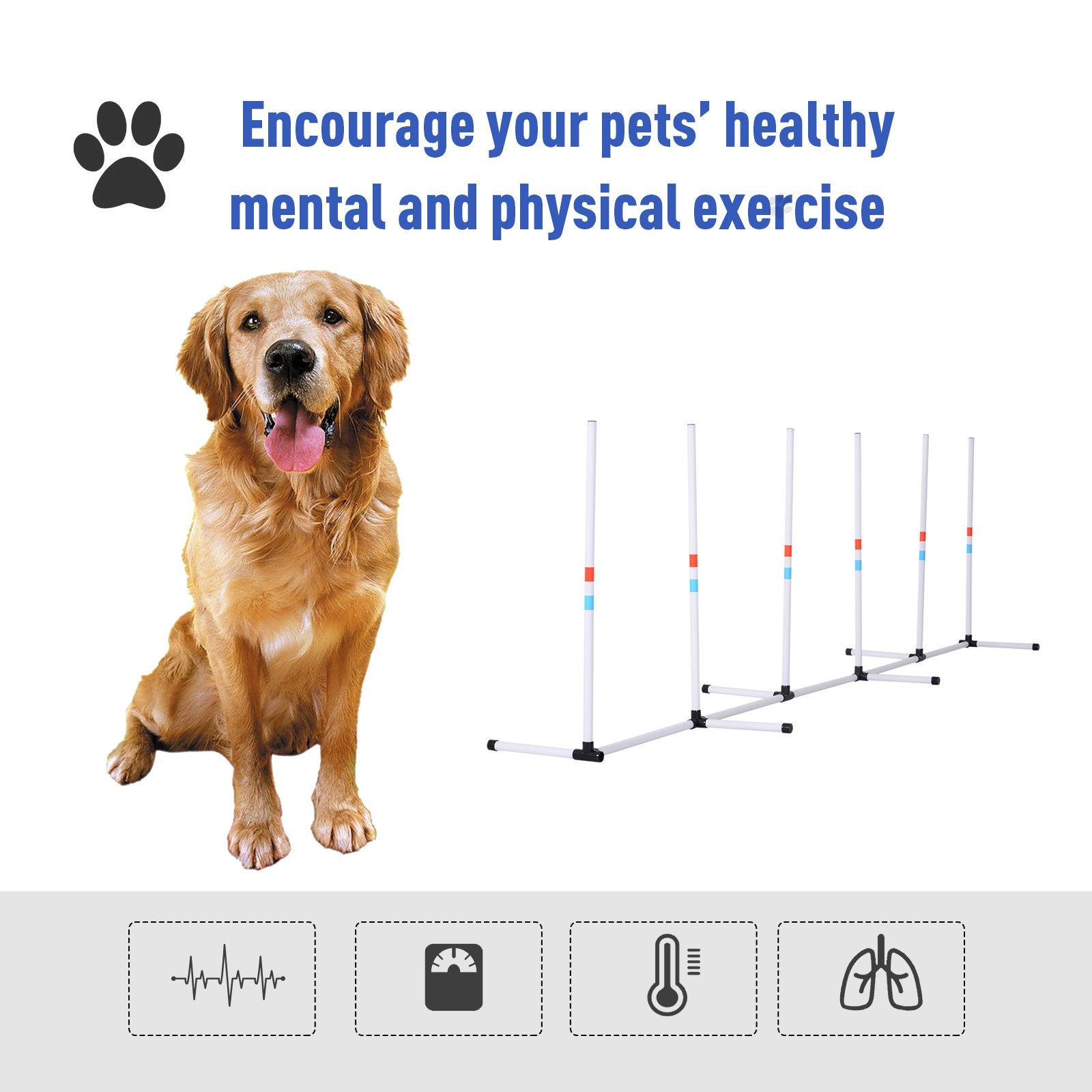 Pôles de chien robustes Équipement de vitesse et d'agilité des animaux Chiens Obstacle Extérieur avec stockage B