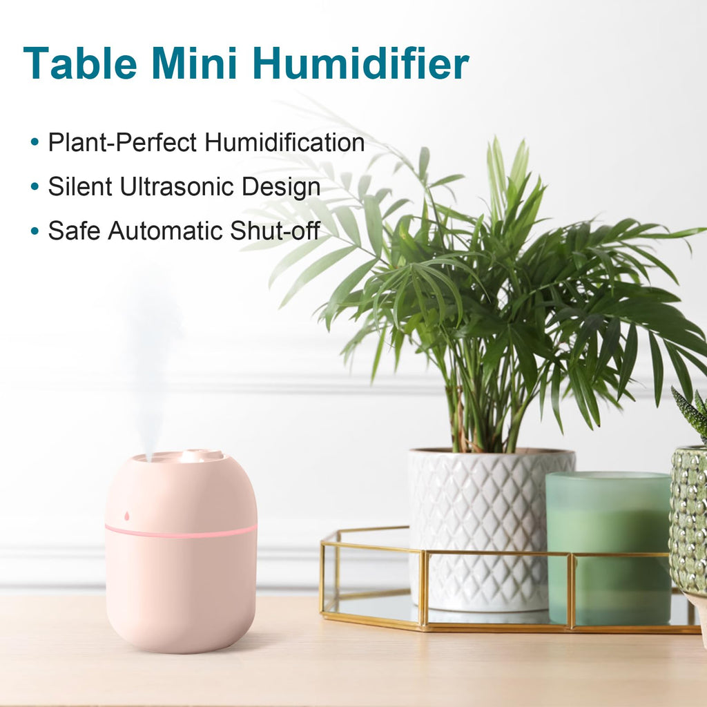 Mini humidificateur portable
