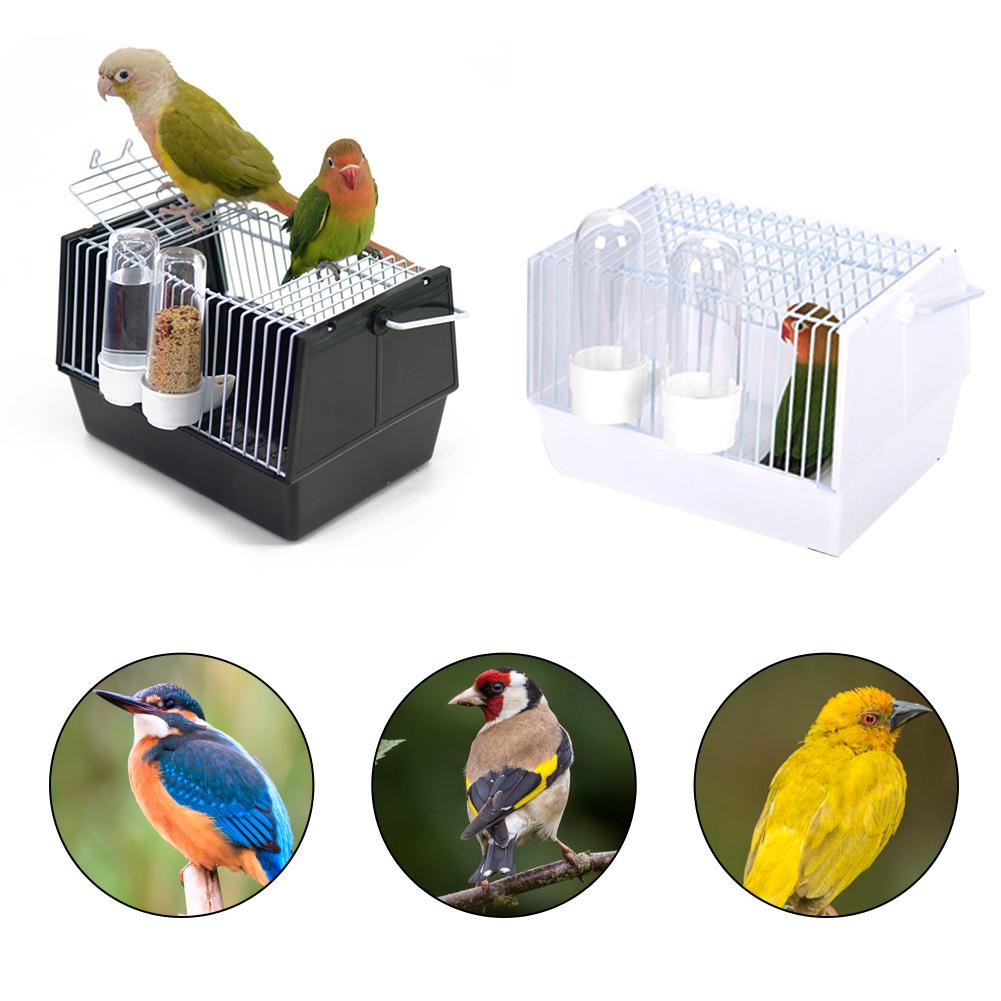 Hors de la cage des oiseaux