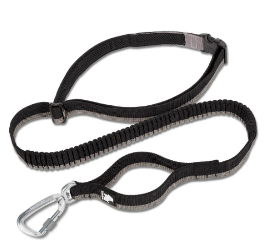 Pet Dog laisse avec élastique adapté pour courir et activités de plein air peut être attaché à