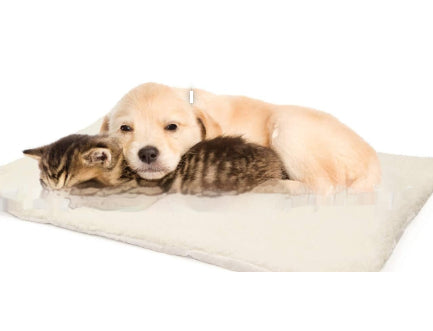 Bouton en plastique auto-chauffage Cat Pad