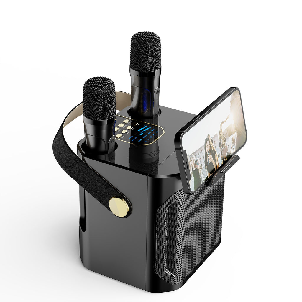 Haut-parleur Bluetooth Outdoor Karaoke Large Volume Accueil Microphone double avec Microphone Karaok