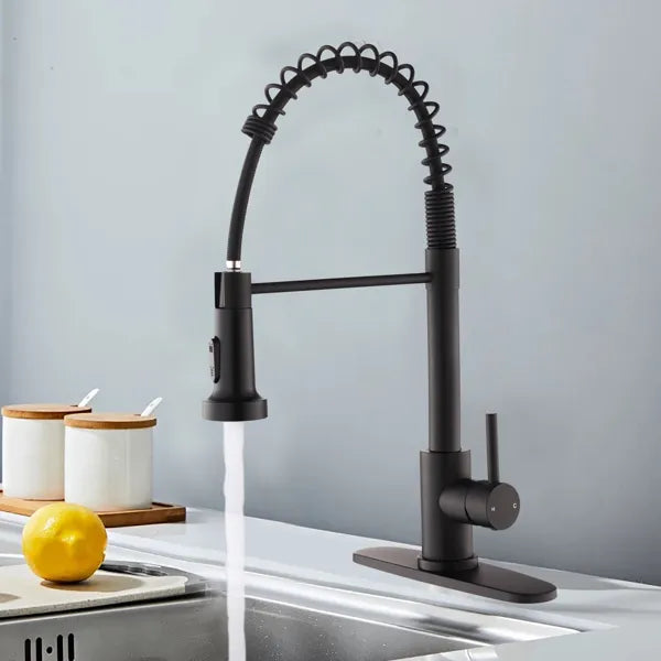 Robinet de cuisine avec pulvérisateur pulvérisateur industriel 1 poignée 1 trou ou 3 trous Robinet pour ferme