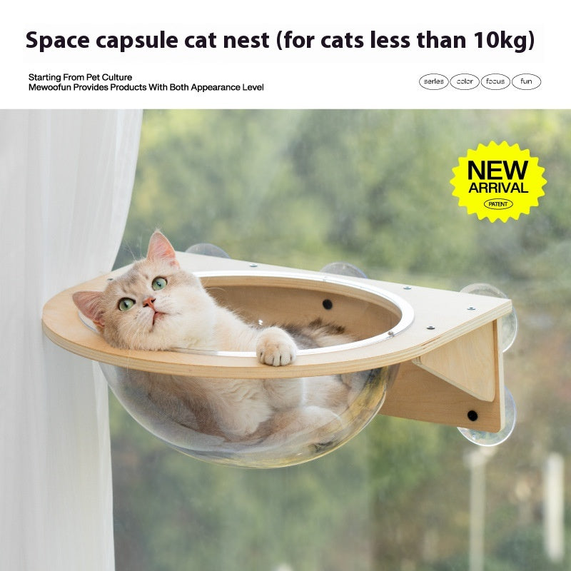 Meow Hu Wang est aussi Cat Scratch Trees ne couvrant pas une zone de mur de verre