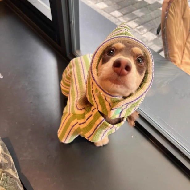 Chien de chien Automne et Veste d'hiver garder chaud nouveau