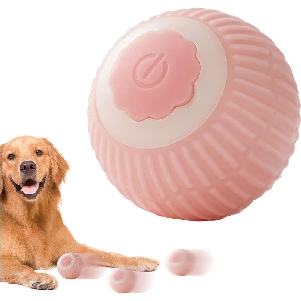 Jouet électrique de boule de chat de chien