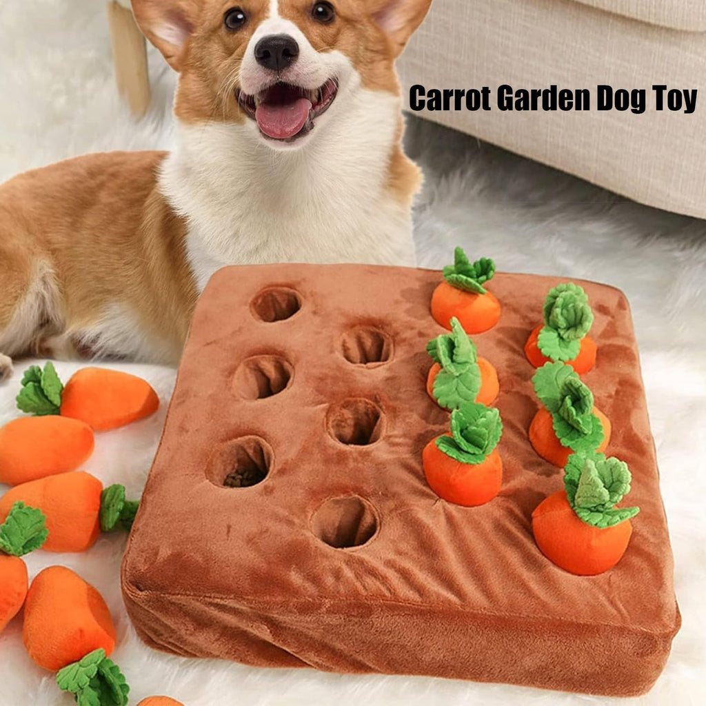 Jouet pour chien de carottes