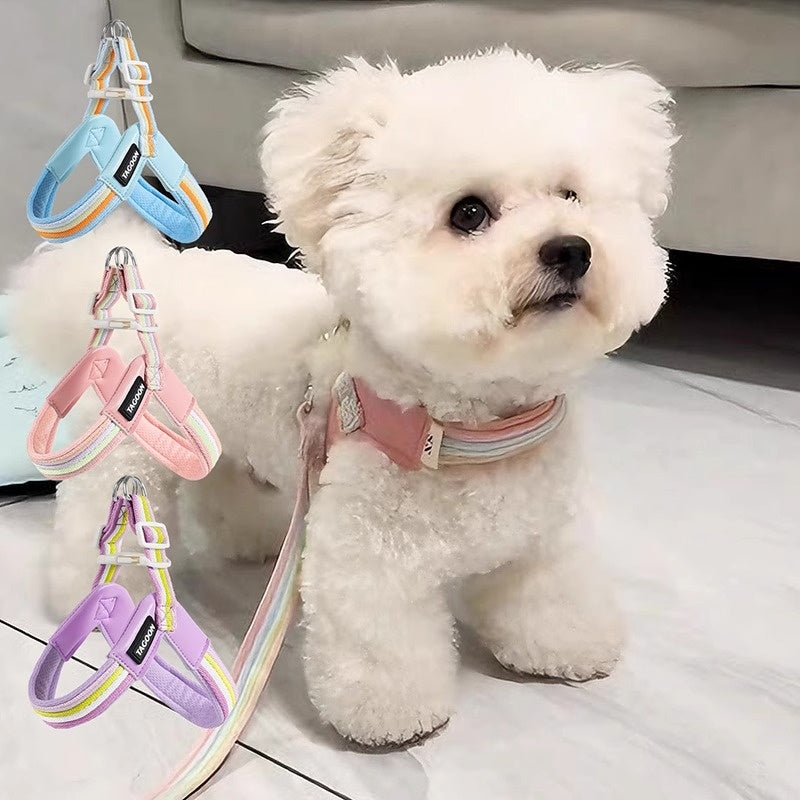Harnais de laisse de chien respirant Set coloré Rainbow Contrast Design pour petits à moyens chiens