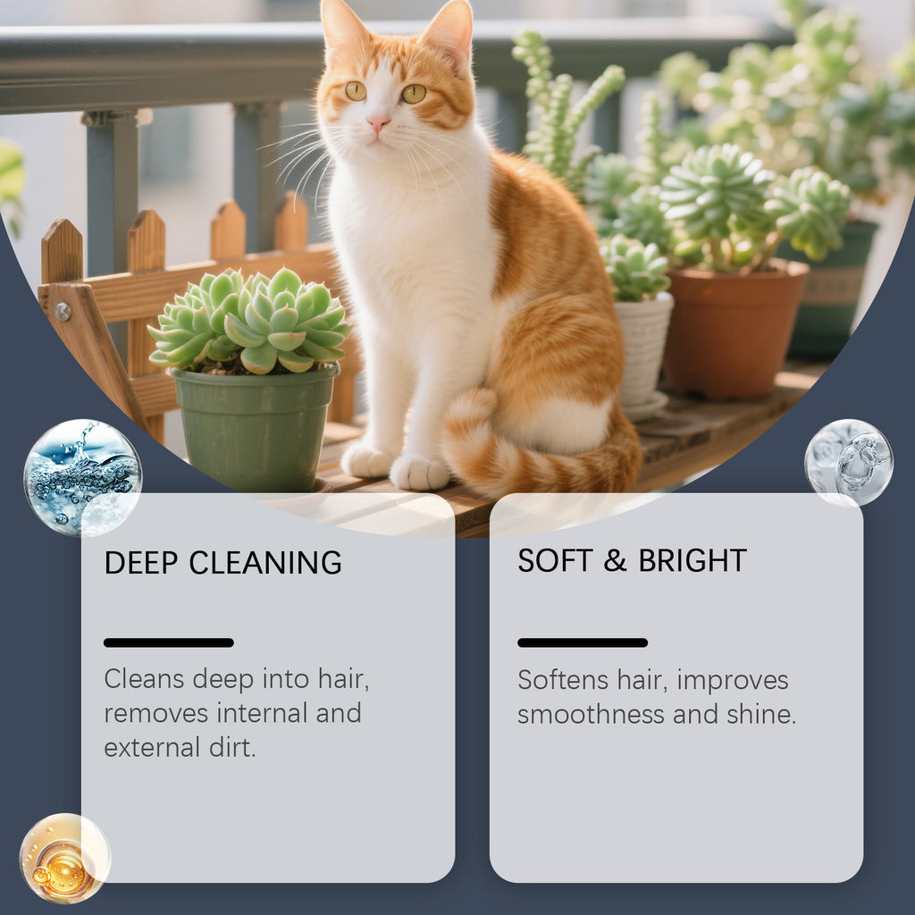 Vaporisateur de nettoyage des cheveux pour animaux de compagnie