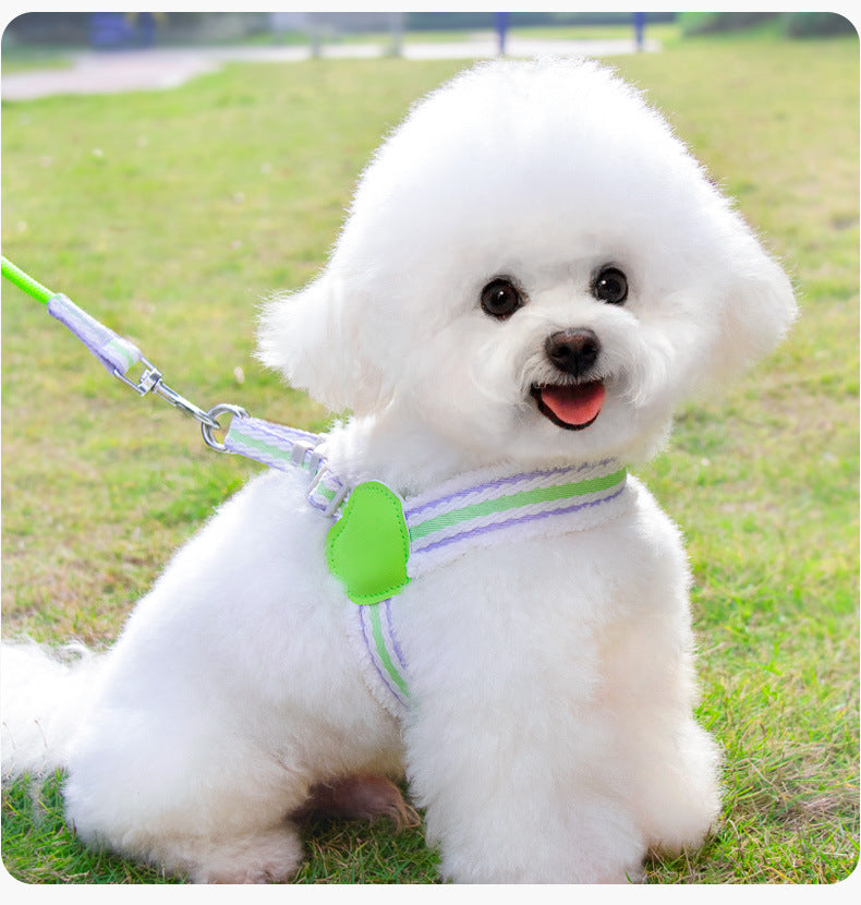 Leash de chien Été Respirant Corgi Shiba Inu Bichon Chest Vest Marcher Leash de chien Petit Et