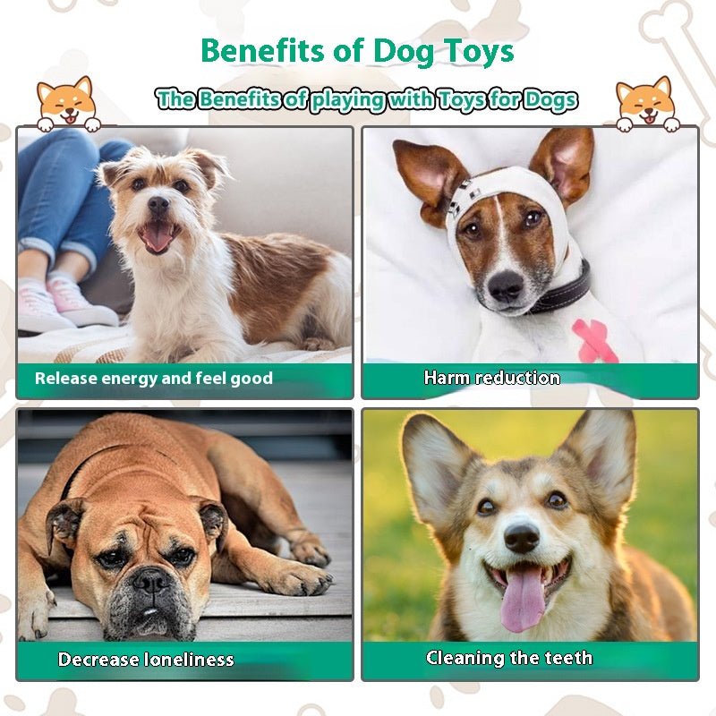 Son interactif résistant aux piqûres et aux hics soulageant Stuffy Big Dog