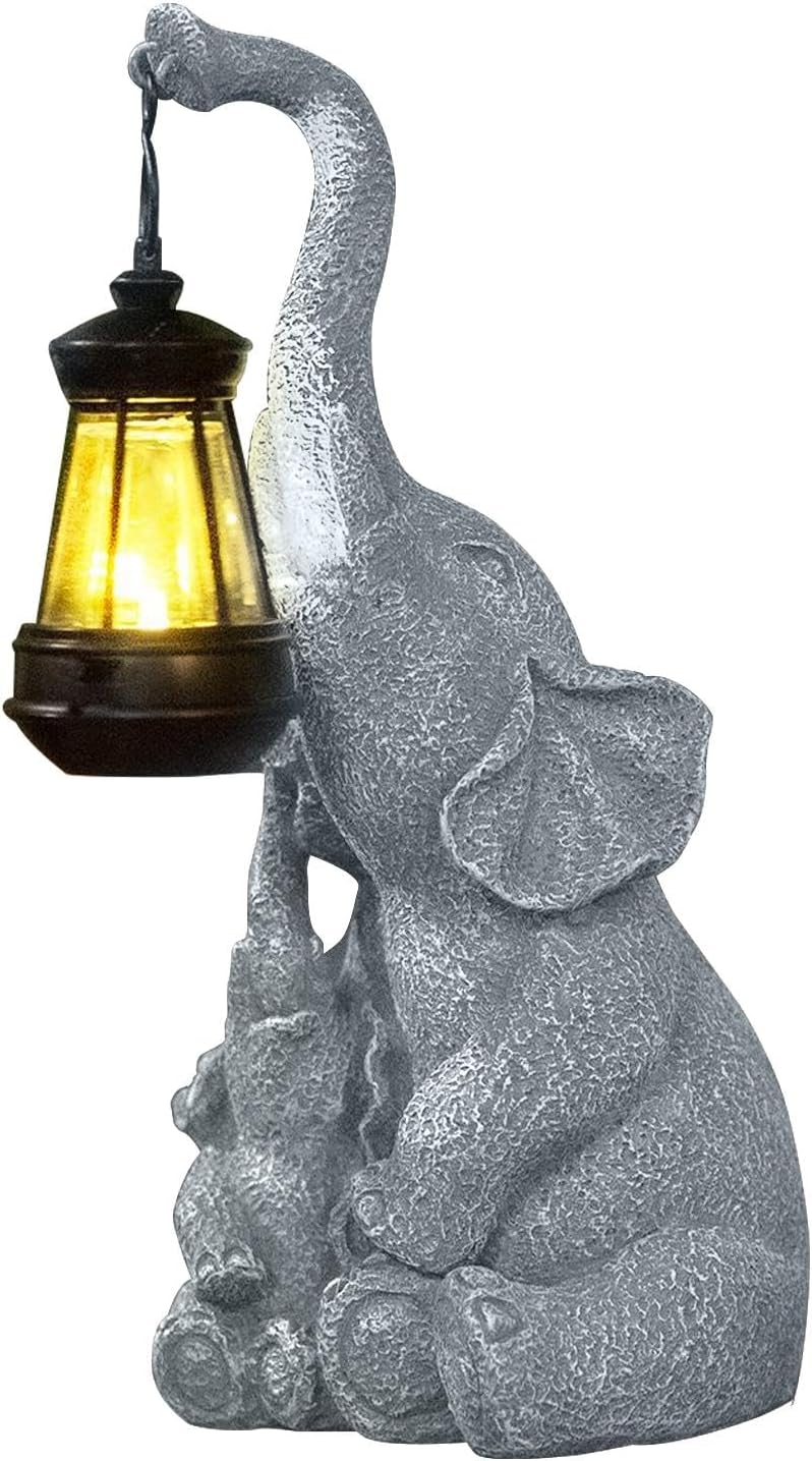 Lumière solaire éléphant