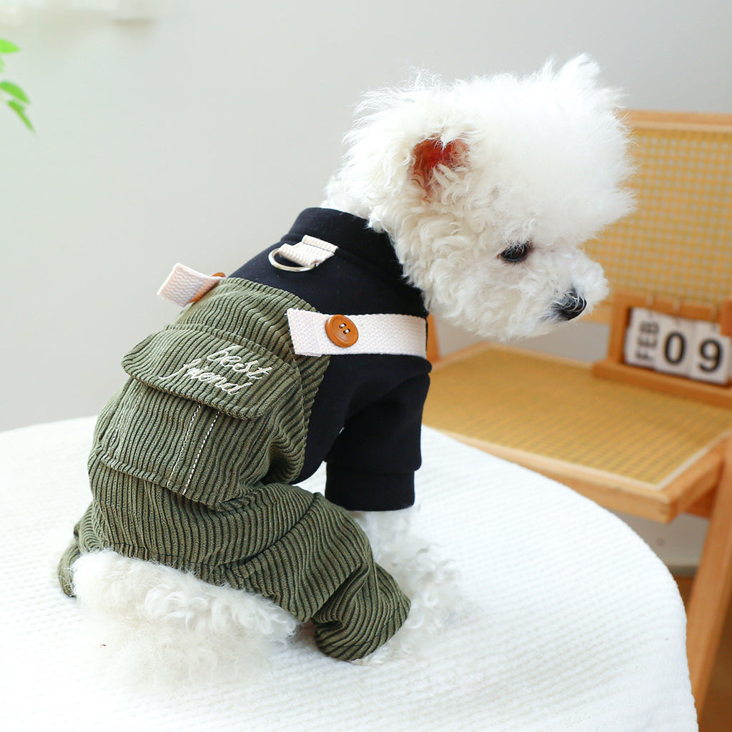 Animaux de compagnie Ring Cat Vêtements Corduroy
