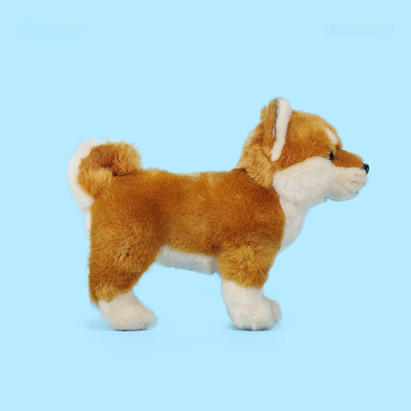 Cadeau d'anniversaire pour enfants Un chien Akita mignon