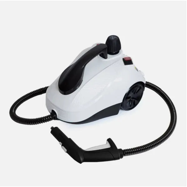 Nettoyeur de vapeur portatif