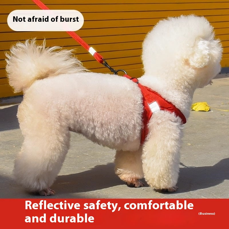 Chien Walking Rope Chien Leash Vest Style