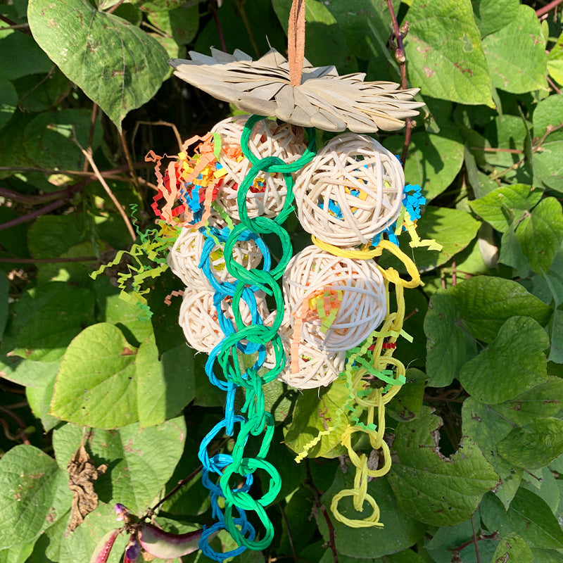 Jouets éducatifs brossé de palmier de perroquet