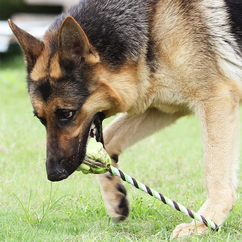Jouets pour chiens à noeuds de boule