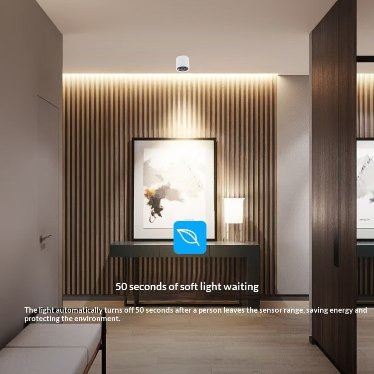 LED Smart Downlight avec induction du corps humain