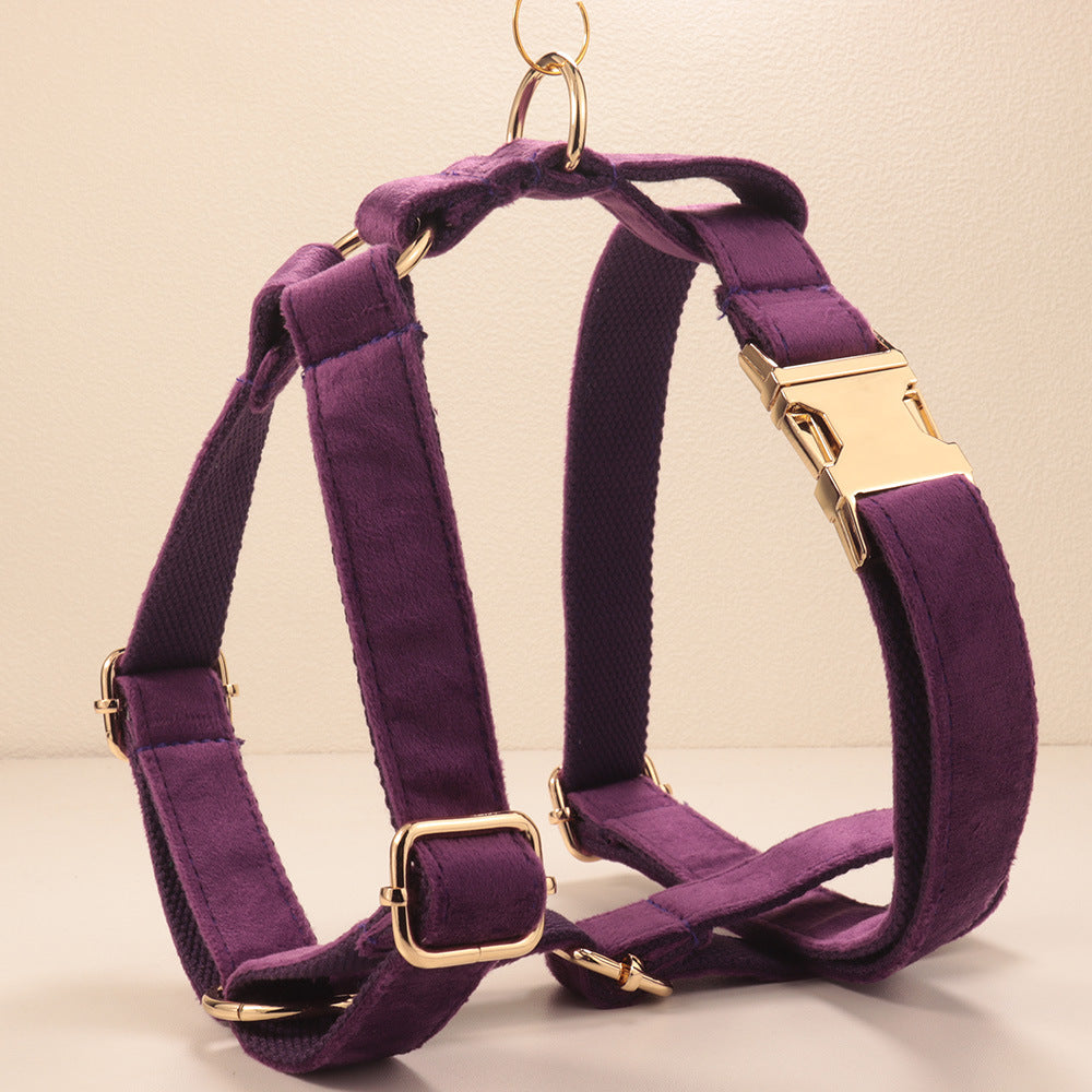 Collier de chien de velours et jeu de tir