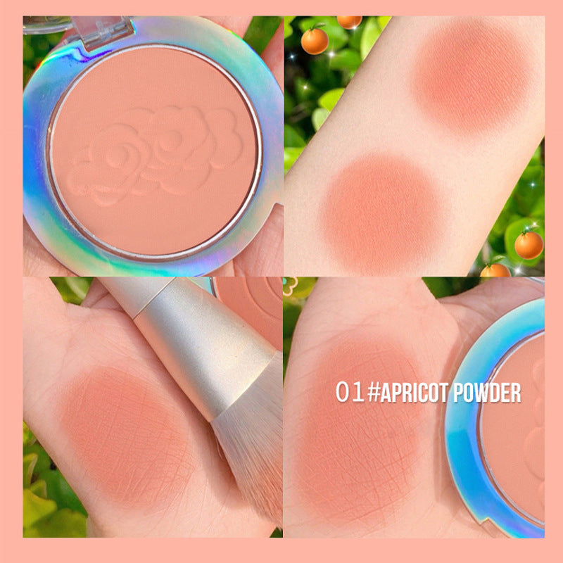 Blush monocolore fin pour les femmes
