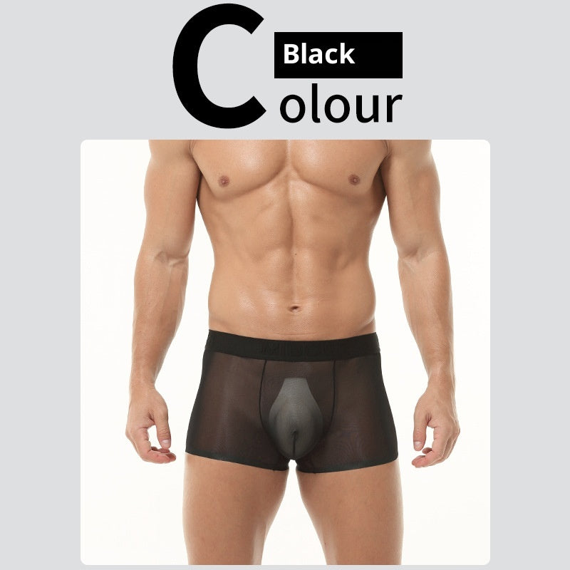 Sous-vêtements en soie de glace transparent homme Été Fin Respirant Traceless