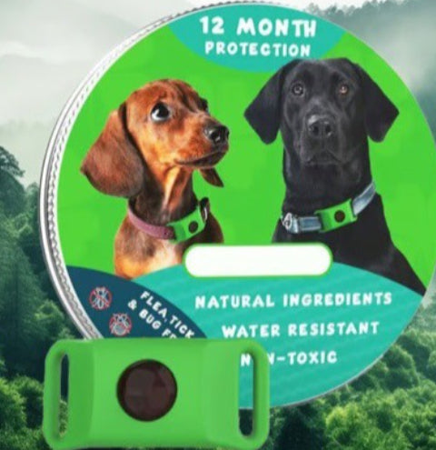 Flea Collar Pet Supplies pour éliminer les puces sur les chiens et les chats