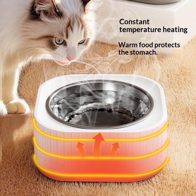 Simple bol d'eau en acier inoxydable à usage domestique avec température constante pour les chats
