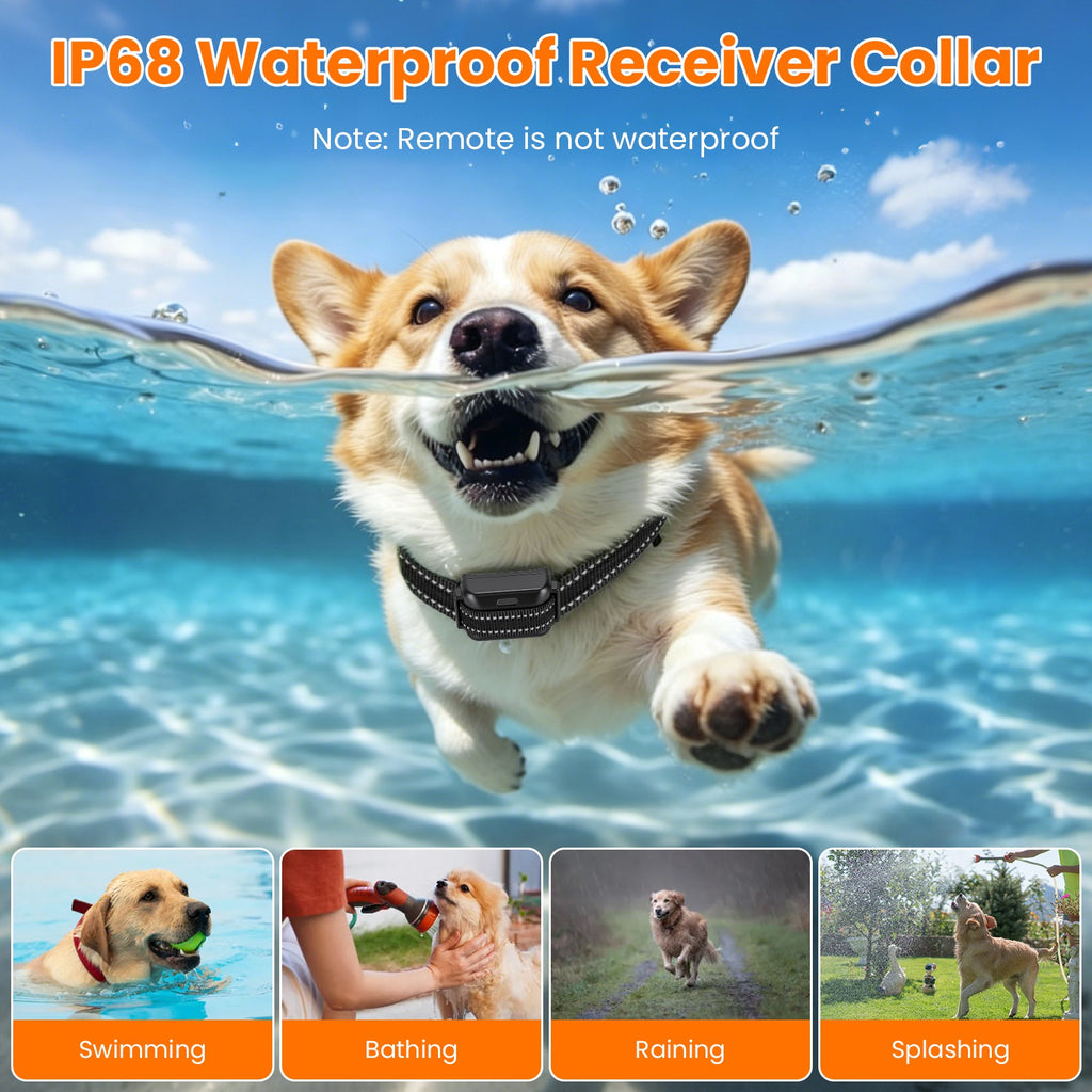 2 en 1 sans fil système de clôture de chien avec collier d'entraînement Invisible de clôture de chien IP68 étanche