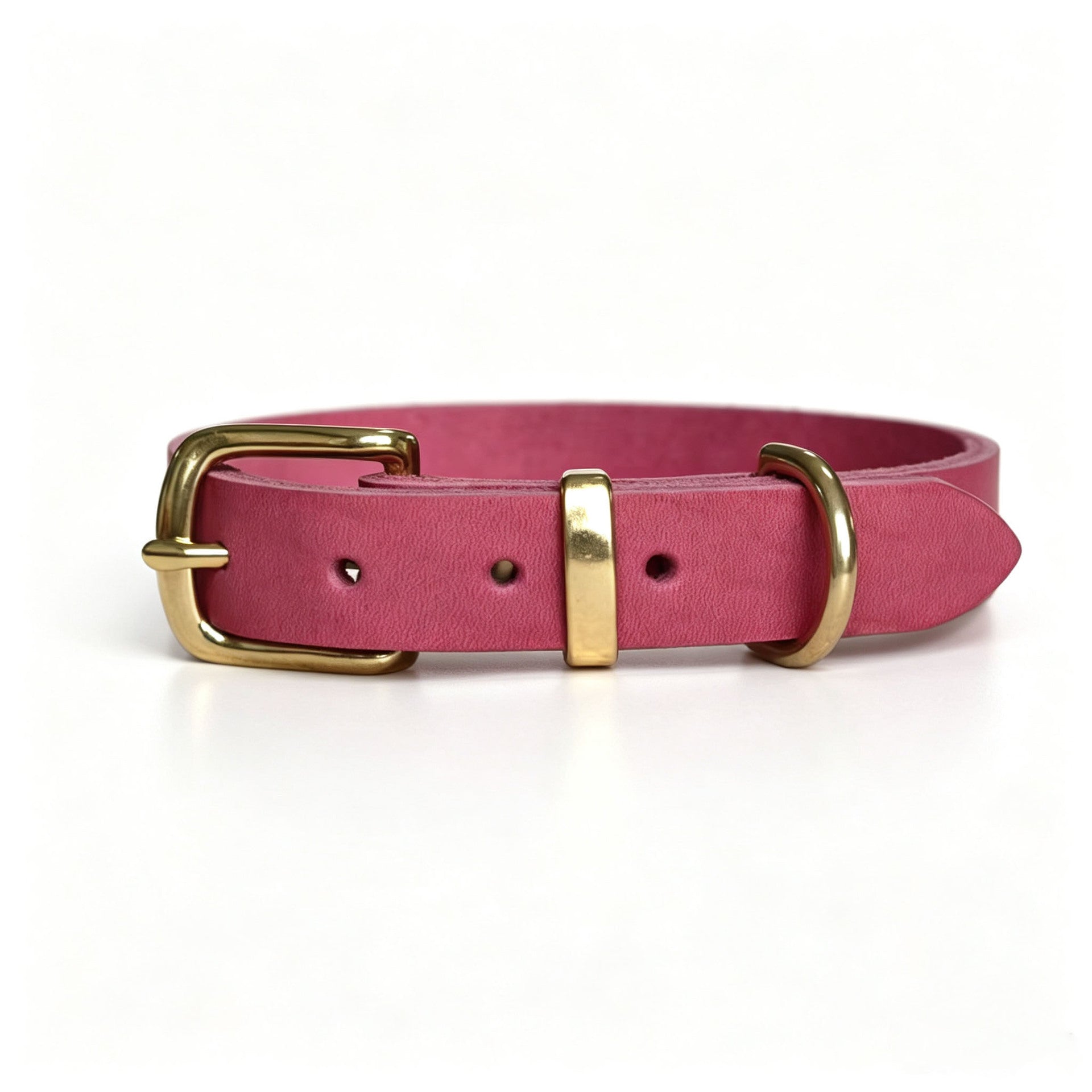 Collier pour animaux de style vintage avec fixations en laiton