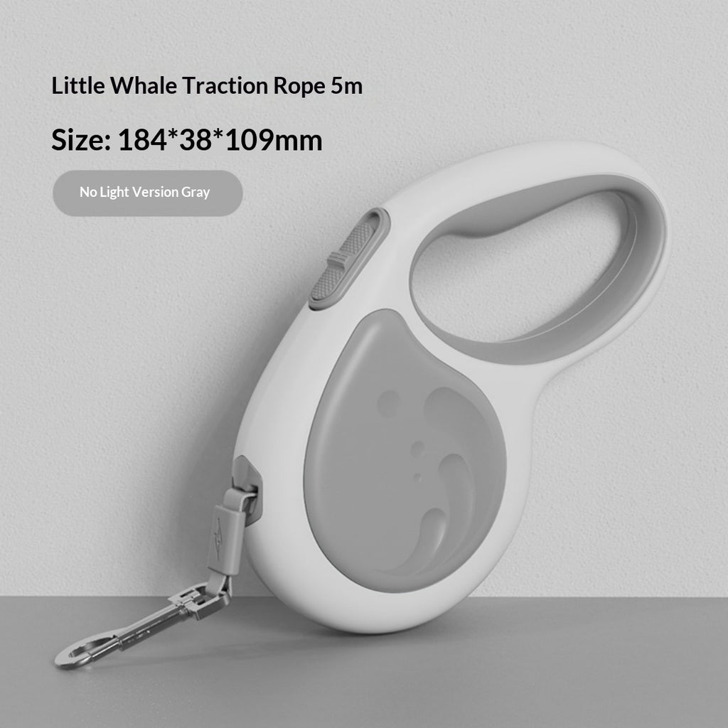 5m laisse rétractable pour animaux avec lampe de poche