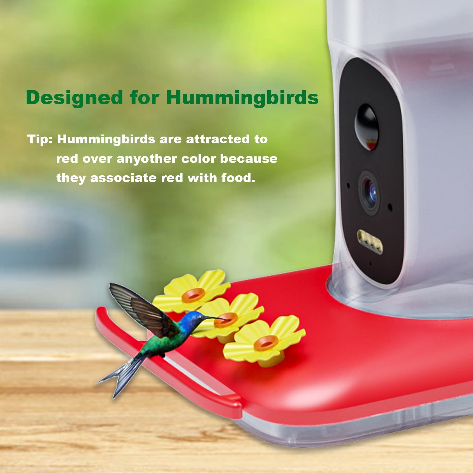 Intelligent Visual Cummingbird Water Feeder 5MP Pixel Outdoor HD