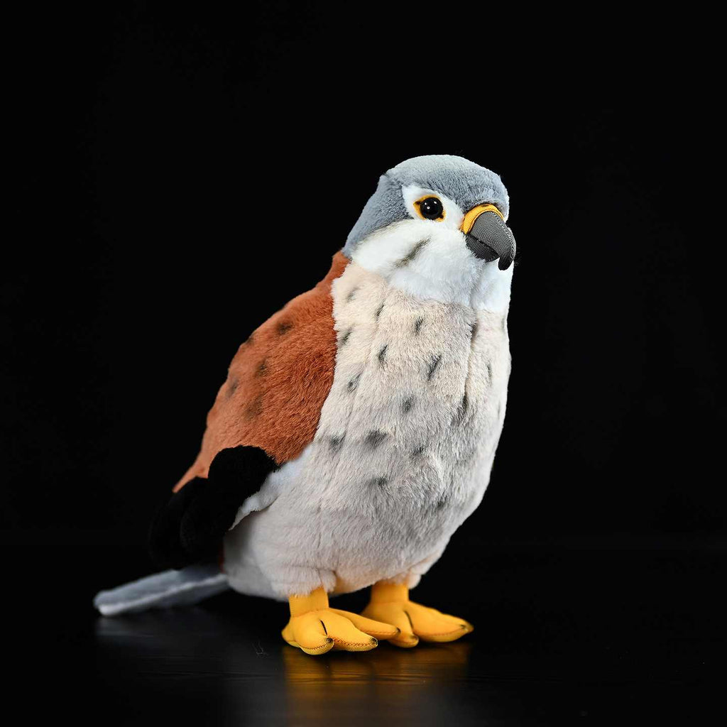 Kestrel peluche jouet Rouge Eagle poupée mignon