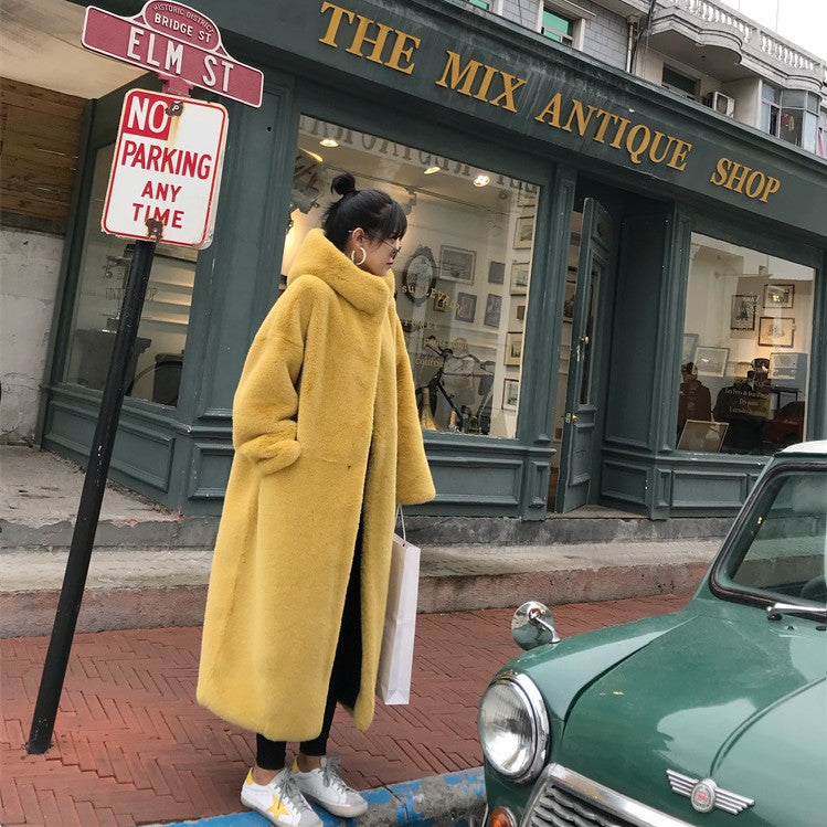 Manteau à capuche en peluche, épaissé, pour femmes