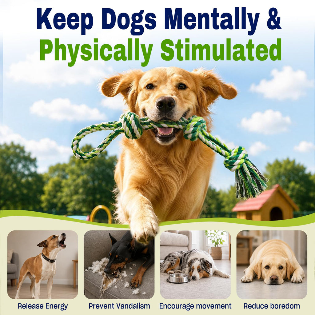 Jouets de corde de chien pour les brochettes agressives