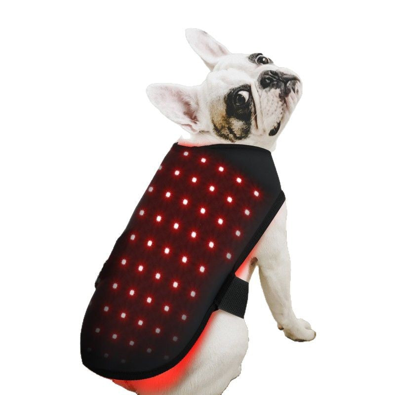 Appareil de thérapie infrarouge à lumière rouge Pet
