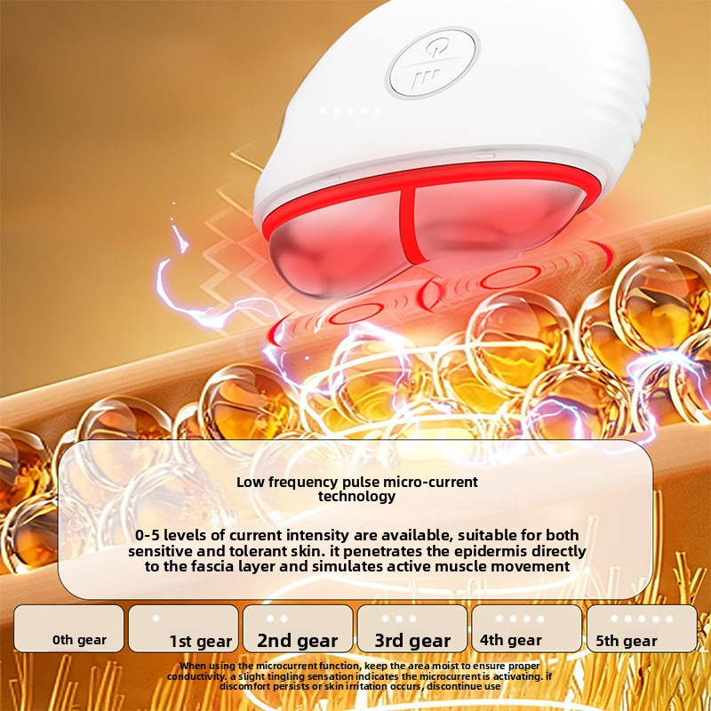 Color Light Scraping EMS Facial Beauty Device