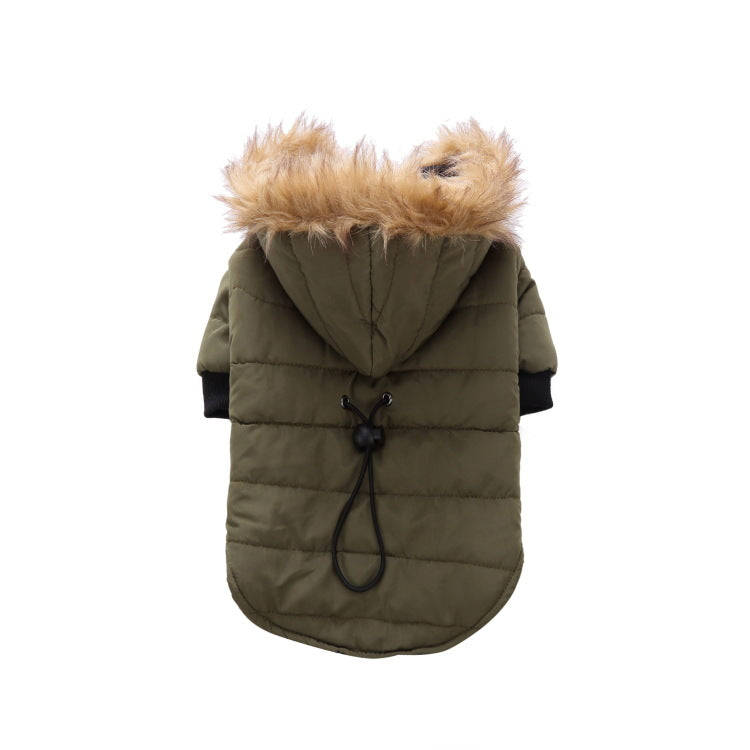 Vêtements d'hiver populaires pour animaux de compagnie
