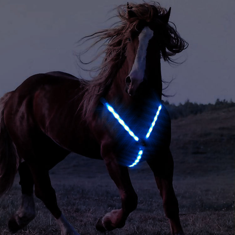 Cinch LED Cool Cheval Harness Équipement Lumineux Strap poitrine